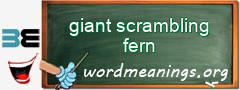 WordMeaning blackboard for giant scrambling fern